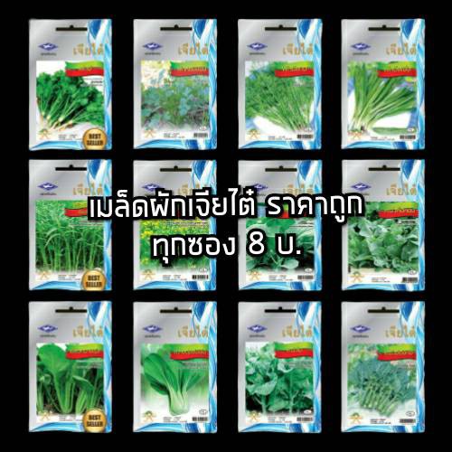[เจียไต๋][ผักใบ]เมล็ดพันธุ์ ผักใบ ผักชี ผักบุ้ง คะน้า กวางตุ้ง