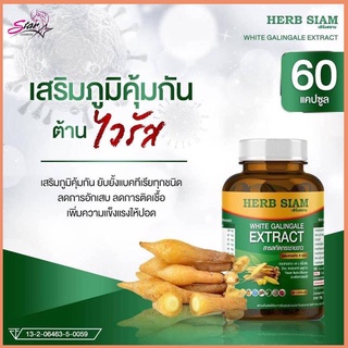 🌿พร้อมส่ง!! ผลิตภัณฑ์เสริมอาหาร ป้องกันไวรัส กระชายขาวสกัด ORI White Galingale Extract แท้ 100% (1 กระปุกมี 60 แคปซูล)