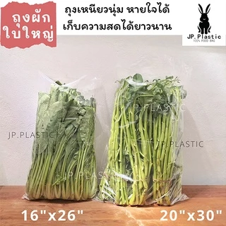 ถุงผักขนาดใหญ่ (แพค0.5กก.) เจาะรู ใส่ผัก ใส PE LLDP ผัก10กก. บรรจุผัก ผลไม้ ขายส่ง เหนียว นุ่ม
