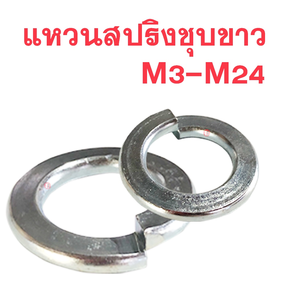 แหวนสปริงชุปขาว ( แหวนกันคลาย ) M3 - M24