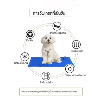 Pet Cool mat ที่นอนเจลเย็นกลาง สำหรับสัตว์เลี้ยง แผ่นเจลเย็น ที่นอนเย็น แผ่นทำความเย็น ที่นอนสัตว์เลี้ยง เบาะนอนเย็น