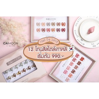 New Set Caimoon 12 สี