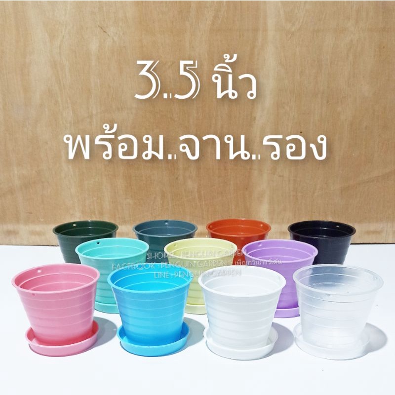 กระถางกลมชั้น 3.5 นิ้ว /จานรอง กระถางพลาสติก ขาว ใส ฟ้า มิ้น ส้ม อิฐ ชมพู เขียว เทา เหลือง ม่วง กระถางแคตตัส