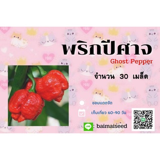 อินทรีย์ ต้น ดอก/เมล็ดพันธุ์พริกปีศาจ30เม็ด 5QRJ