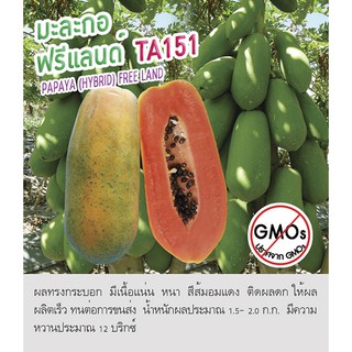 เมล็ดพันธุ์ มะละกอ ฟรีแลนด์ TA151 - Papaya Hybrid ตราดอกแตง เมล็ดพันธุ์ เมล็ดผัก คุณภาพ "เพื่อนเกษตรกร"