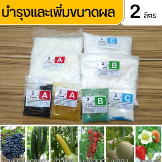 ปุ๋ย ABC Hydroponics Fruits สำหรับผักไฮโดรโปนิกส์ ชนิดแห้ง บำรุงผล ชุดขนาด 2 ลิตร ( A 2L ,B 2L ,C 2L)เพิ่มขนาดและผลผลิต