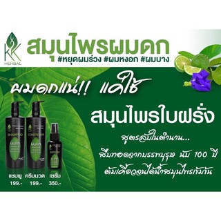 แชมพูสมุนไพรใบฝรั่ง 250ml+ครีมนวดใบฝรั่ง250ml+เซรั่มใบฝรั่งสูตรเข้มข้น