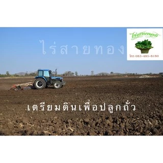 ถั่วแขกเพาะงอก ไทย/พม่า ยกกระสอบ20 กิโล