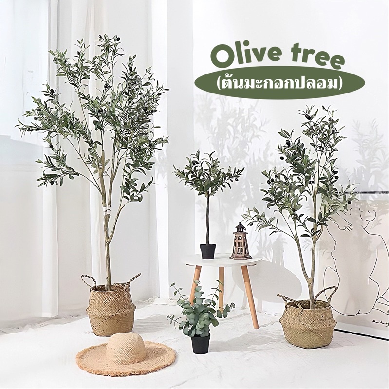 🫒Olive tree | ต้นมะกอกปลอม [แถมกระถางสาน] ต้นมะกอก ต้นไม้ปลอมแต่งห้อง 🌳