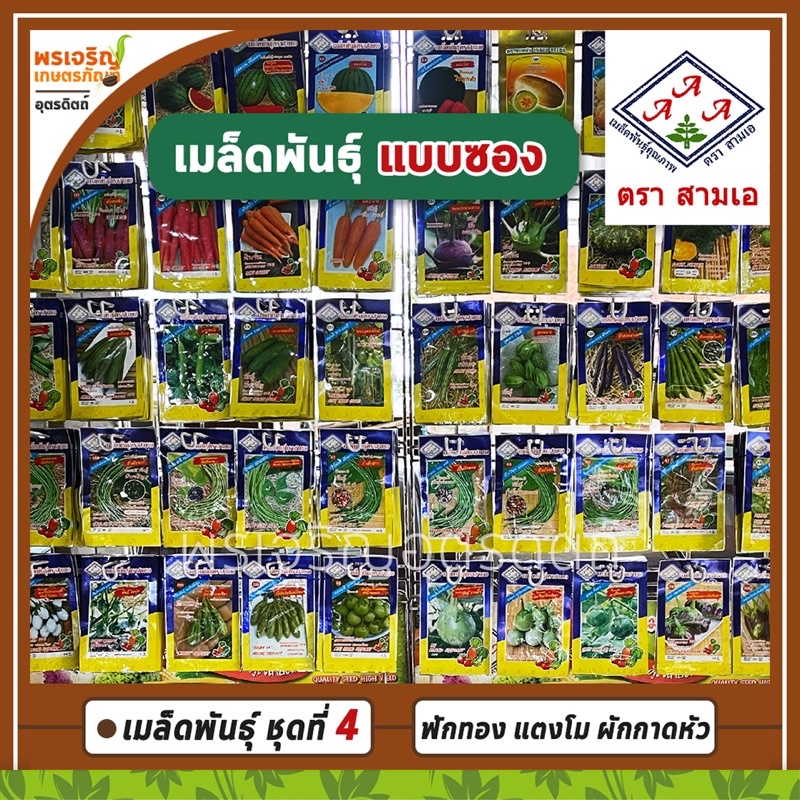 เมล็ดพันธุ์ผัก พืชผักสวนครัว 3A ชุดที่ 4 (แบบซอง) เมล็ดฟักทอง แตงโม ผักกาดหัว ข้าวโพดหวาน เมล็ดพันธุ์ผักสวนครัว ตราสามเอ