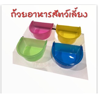 พร้อมส่ง 🔥 ถ้วยใส่อาหารแขวนกรง นก หนู ชูก้า กระรอก