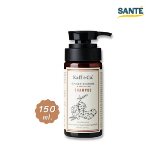 [150 ML.] แชมพูสารสกัดเหง้าขิงและมะกรูด Kaff &amp; Co. Ginger Rhizome &amp; Kaffir Lime Shampoo สำหรับหนังศีรษะมัน