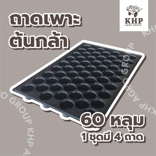 <4 ชิ้น> ถาดเพาะกล้า 104 หลุม ,35 ,60 ,105 ,200 หลุม ถาดเพาะชำ ถาดเพาะเมล็ด ถาดเพาะ มีขอบ แข็งแรง