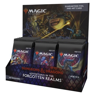 MTG / Adventures in the Forgotten Realms Set Booster Box