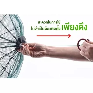 ปลีก/ส่งตาข่ายดักปลา ที่ดักกุ้งฝอย มุ้งดักปลา 4 ช่อง 6 ช่อง 8 ช่อง 10 ช่อง แพ็ค 5/10 ชิ้น