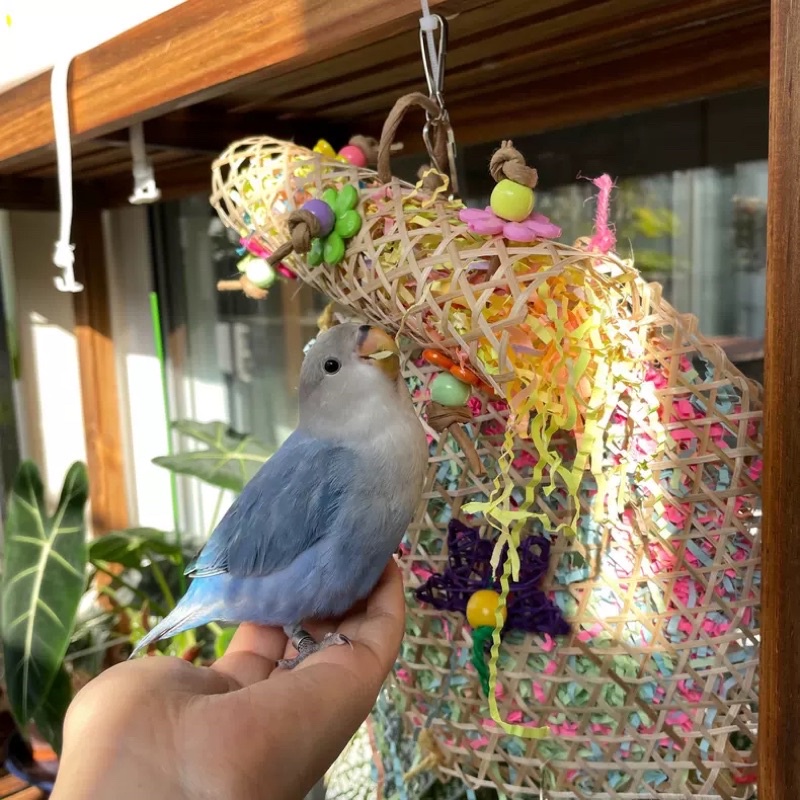 E-26 ของเล่นนกแก้ว ทำจากไม้ไผ่เส้น ให้นกแก้วได้แทะเล่น ด้านนอกทำจากไม้ไผ่สาน ด้านในเป็นกระดาษสีสันสวยงาม 25cm - รูปที่ 3