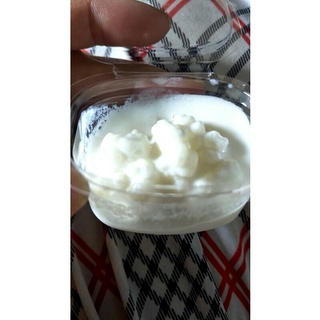 หัวเชื้อบัวหิมะธิเบต Kefir grans  (คีเฟอร์เกรน5สายพันธ์)