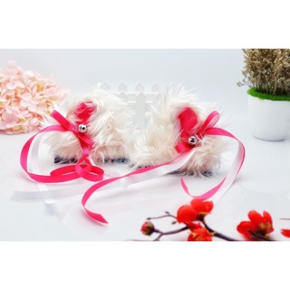 ✅✅หูแมวกระดิ่ง พร้อมแต่งหมวกกันนอค😸😸👍👍 คู่ละ 150 บาท