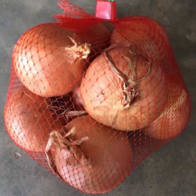 หอมหัวใหญ่1ก.ก. Union 1 kg ****#union#หอมหัวใหญ่#หอม#เครื่องครัว#สุขภาพ#กระเทียมเชียงดาว#garlic#ยี่ห้อ ****