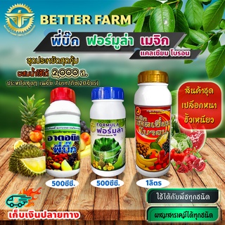 สินค้าชุด เปลือกหนาขั้วเหนียว พี่บิ๊ก 500มล.(ฮอร์โมน)+ฟอร์มูล่า 500มล.(สารจับใบ)+เมจิก แคลเซียมโบรอน 1ลิตร ผสมน้ำ2,000ล.