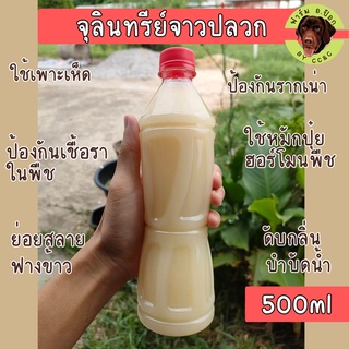 จุลินทรีย์จาวปลวก ชนิดน้ำ ขนาด 500 มิลลิลิตร ป้องกันเชื้อรา โรครากเน่า หัวเชื้อปุ๋ย ย่อยฟาง เพาะเห็ด