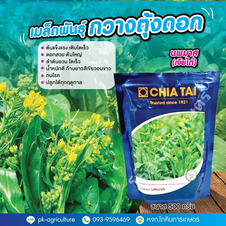 เมล็ดพันธุ์กวางตุ้งดอกนพมาศ (เจียไต๋) ขนาด 500 กรัม