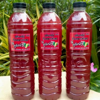 หัวเชื้อเข้มข้น จุลินทรีย์สังเคราะห์แสง PSB ของแท้ 💯 (600ml)
