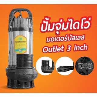 ปั้มจุ่มไดโว่ มอเตอร์บัสเลส (48/60V 1HP)