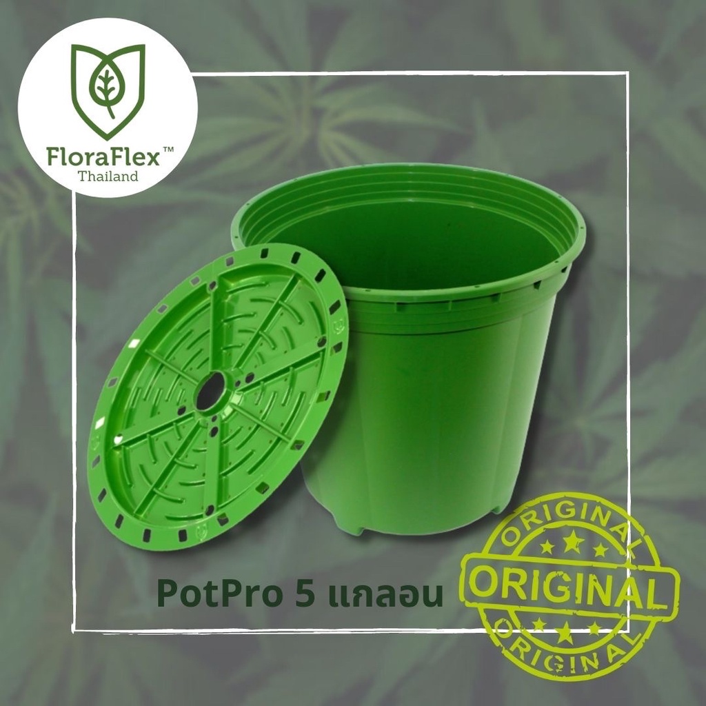 FloraFlex POTPRO 5 แกลลอน & MATRIX 9 10.5 นิ้ว