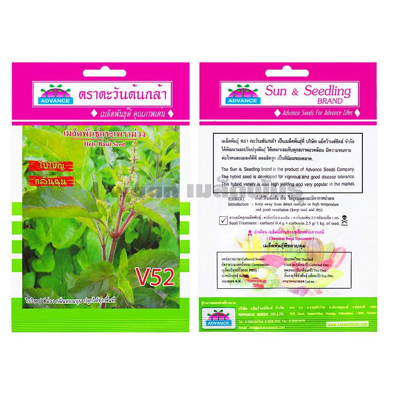 เมล็ดกะเพราม่วง V52 (รหัสสินค้า A2419)