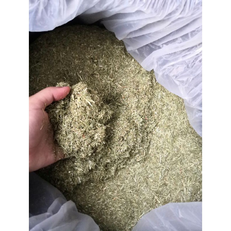 หญ้าทิมโมธีแบบป่น ขนาด 1 Kg สำหรับ เต่า กระต่าย เเกสบี้ ก้านไม่หยาบทานง่าย