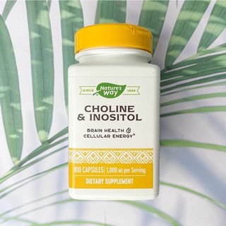 โคลีน และ อิโนซิทอล Choline &amp; Inositol 1000 mg 100 Capsules (Natures Way®)