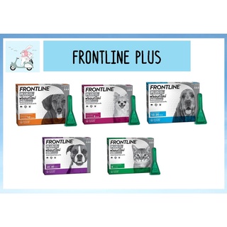 Frontline plus ชนิดหยด กำจัดเห็บหมัด สุนัข-แมว ตัวเลือก 1หลอด-1กล่อง