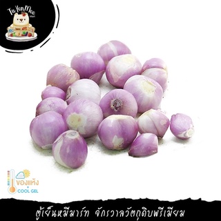 250G/PACK หอมแดงปอกเปลือก ขนาด 140-150 หัว/กก. PEELED SHALLOT SIZE 140-150 EACH/KG (D / F)