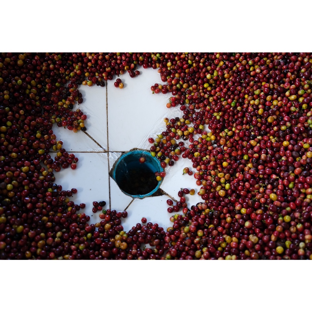 PK Full City Roast ขนาด 1,000g. เมล็ดกาแฟคั่ว 