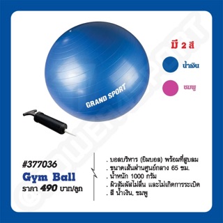 บอลบริหาร ยิมบอล Gym Ball พร้อมที่สูบลม 65 ซม. GS #377036