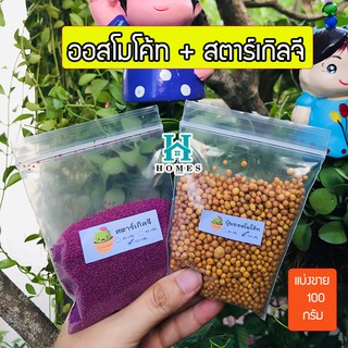 ออสโมโค้ท (Osmocote) + สตาร์เกิล จี (Starkle G) ขนาด 100 กรัม