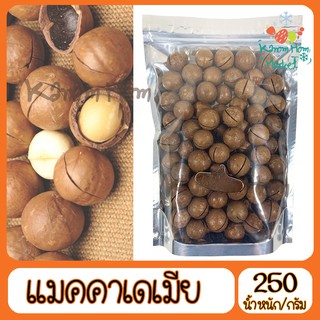 แมคคาเดเมีย อบ ไม่ปรุงรส เกรดA100% 250g  ธัญพืช ถั่ว แมคคา แม็คคา