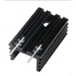 ซิงค์ระบายความร้อนแบบมีเข็มคู่15x10x25mm 5ตัว
