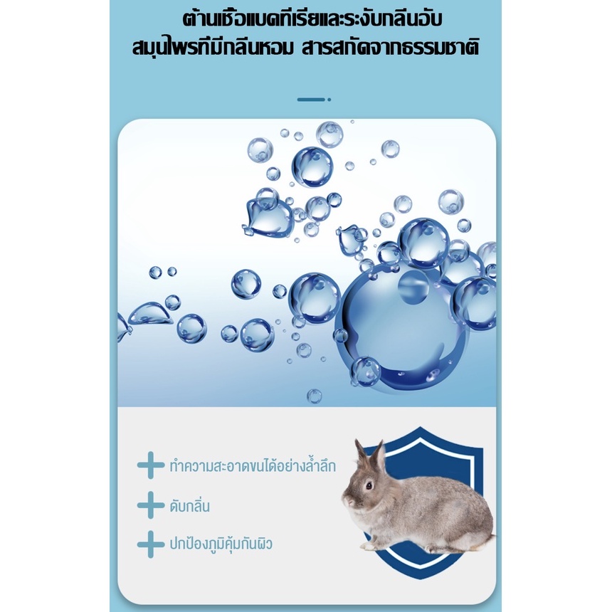 รูปภาพ 9