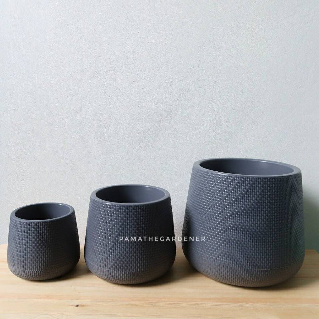 มุมมอง 3