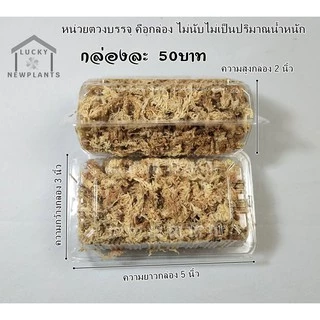 Sphagnum moss สแฟ็กนั่มมอส แบ่งขายกล่องละ 50฿ สินค้าพร้อมส่ง