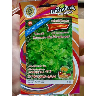 เมล็ดผักกาดหอม พันธุ์ บิ๊กจอร์น238 สลัด ผักสลัด (10 แถม 1)คละได้ เมล็ดผัก เมล็ดพันธุ์ สี่ทิศ