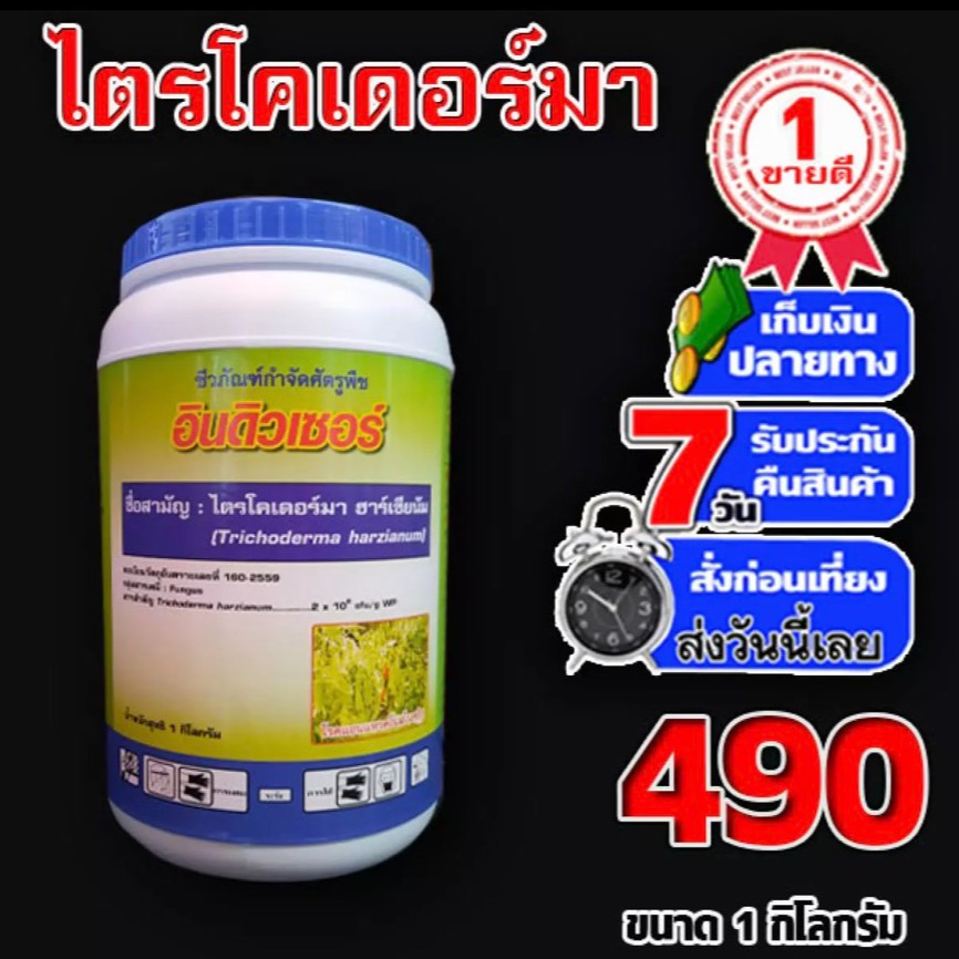 My Image 15