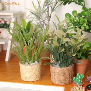 Cooltoy โมเดลกระถางต้นไม้จิ๋ว สีเขียว สําหรับตกแต่งบ้านตุ๊กตา 1:6