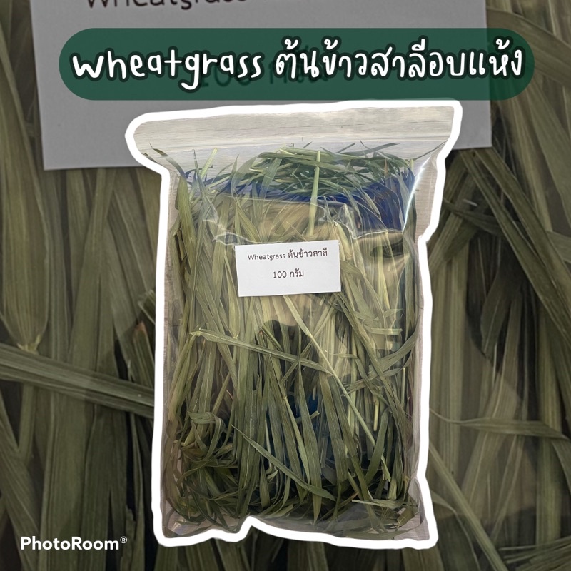 wheat grass ต้นข้าวสาลีอบแห้ง Premium ใบเขียวหอม