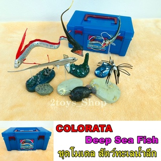 COLORATA ชุดสัตว์ทะเลน้ำลึก