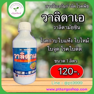 วาลิดาเอ วาลิดามัยซิน วาลิด (validamycin 3% W/V SL) ยาป้องกันและกำจัดเชื้อรา โรคกาบใบแห้ง ขนาด 1 ลิตร