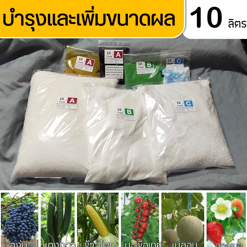ปุ๋ย ABC Hydro Fruit สำหรับไฮโดรฯ น้ำหยด ชนิดแห้ง บำรุงผล ชุดขนาด 10 ลิตร (A 10 ลิตร,B 10 ลิตร และ C 10 ลิตร)