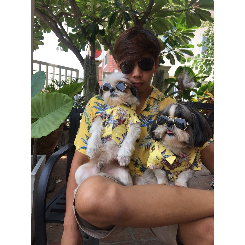 แว่นกันแดดหมาใหญ่ 11 cm มีสายรัดปรับได้ | โกลเด้น พิทบูล ไซบีเรียน | แว่นแฟชั่นสุนัขกลาง-ใหญ่